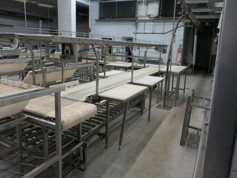 Fleischverarbeitungsmaschinen-2